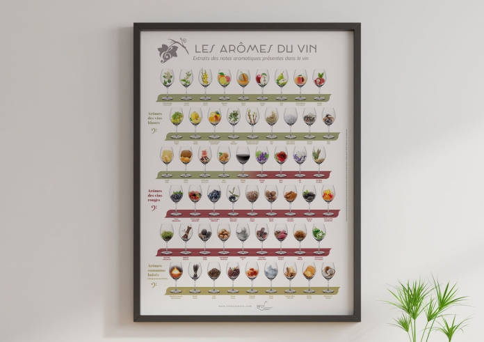 Carte - Affiche Viticole Les Arômes du Vin